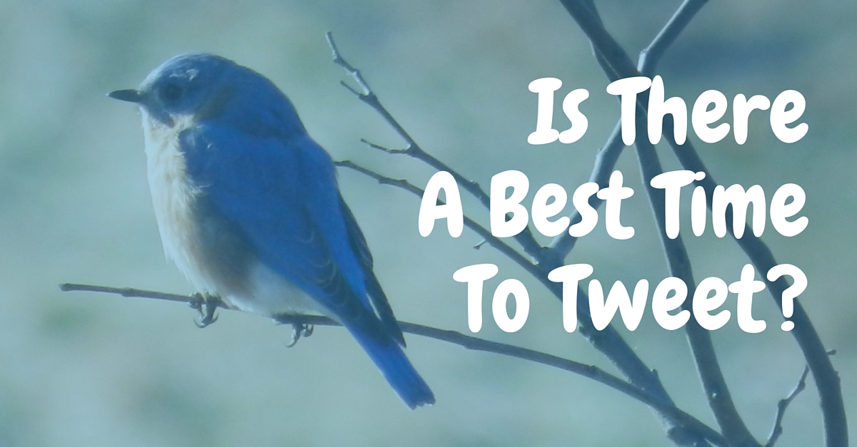 Is ThereA Best TimeTo Tweet