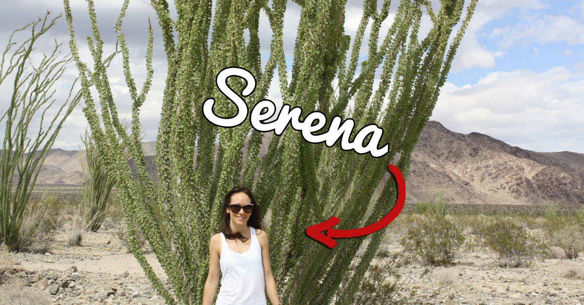 Serena-approved